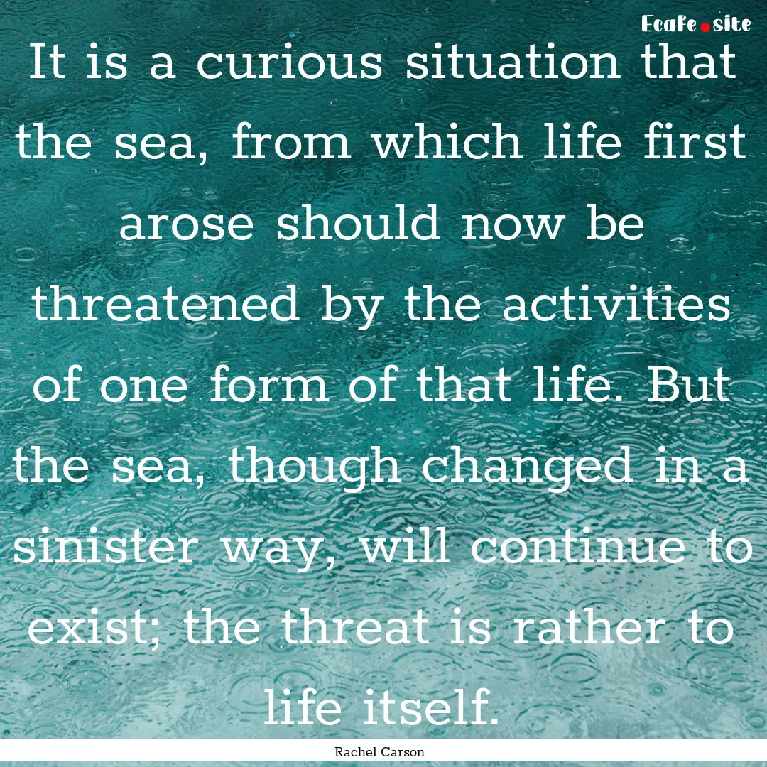 It is a curious situation that the sea, from.... : Quote by Rachel Carson