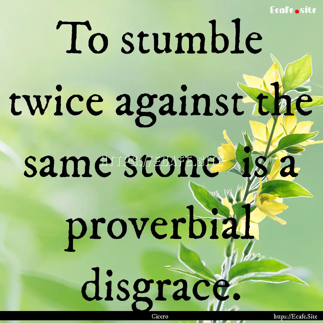 To stumble twice against the same stone .... : Quote by Cicero