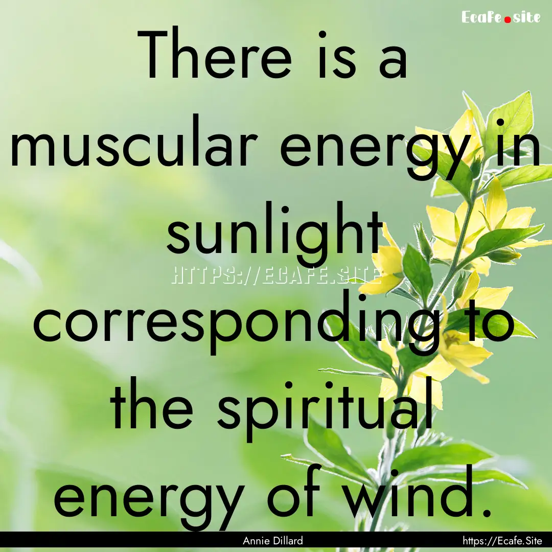 There is a muscular energy in sunlight corresponding.... : Quote by Annie Dillard