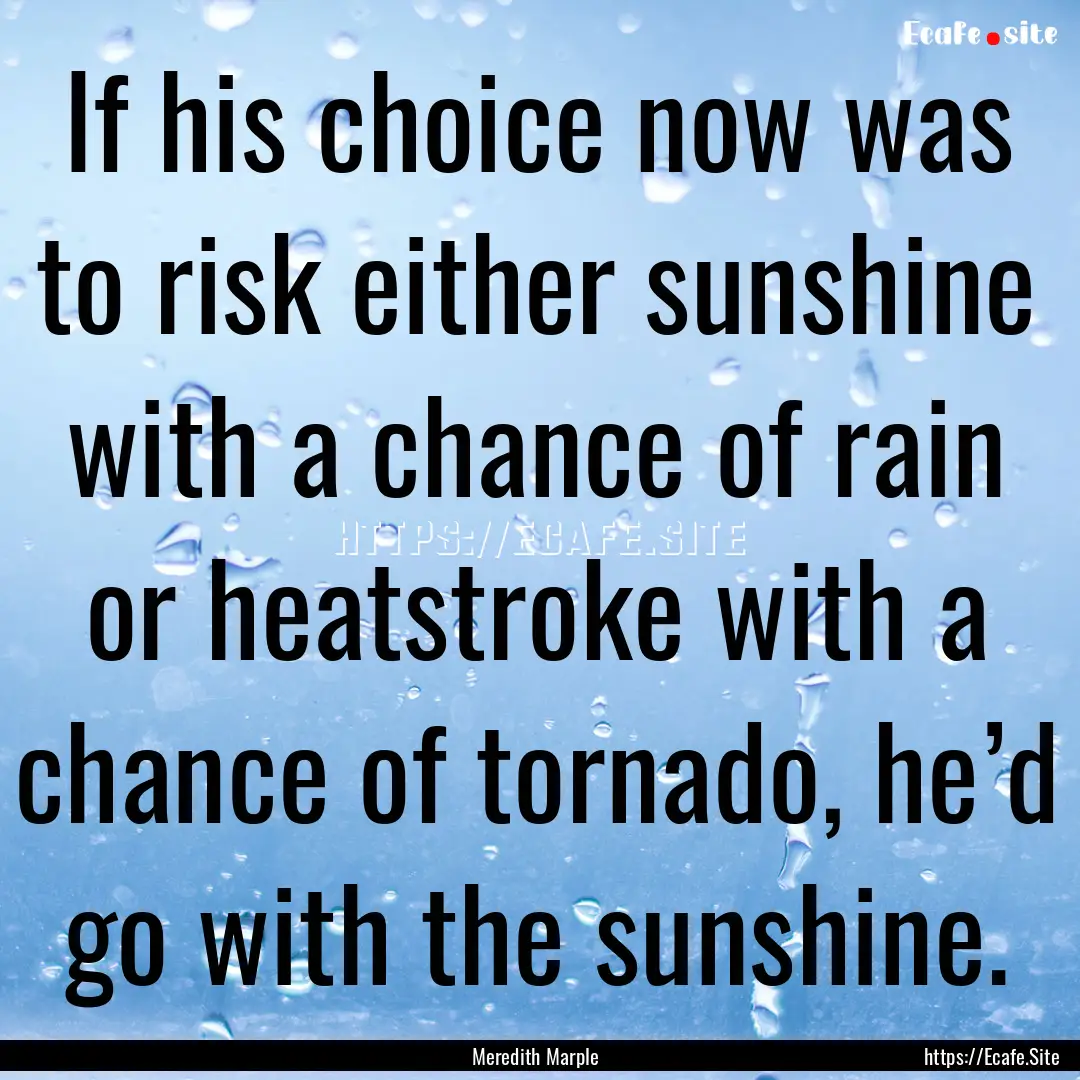 If his choice now was to risk either sunshine.... : Quote by Meredith Marple