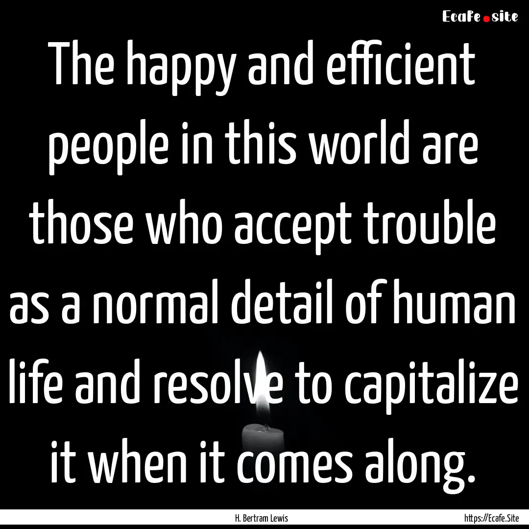 The happy and efficient people in this world.... : Quote by H. Bertram Lewis