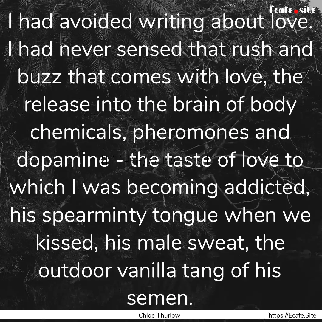 I had avoided writing about love. I had never.... : Quote by Chloe Thurlow