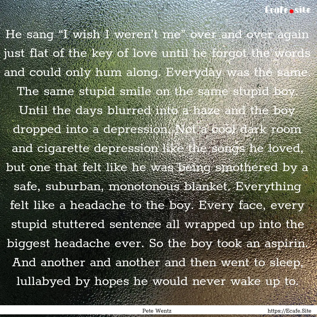 He sang “I wish I weren’t me” over.... : Quote by Pete Wentz