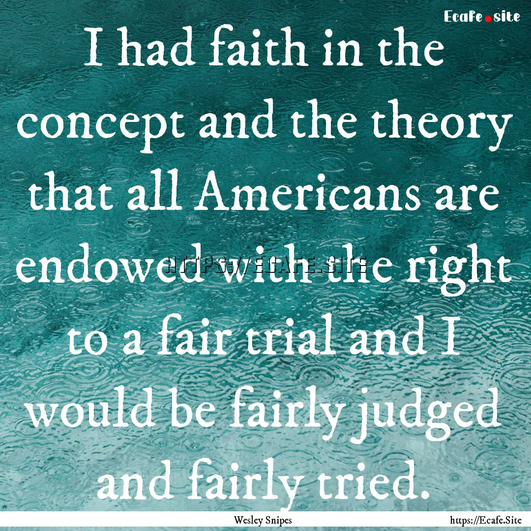 I had faith in the concept and the theory.... : Quote by Wesley Snipes