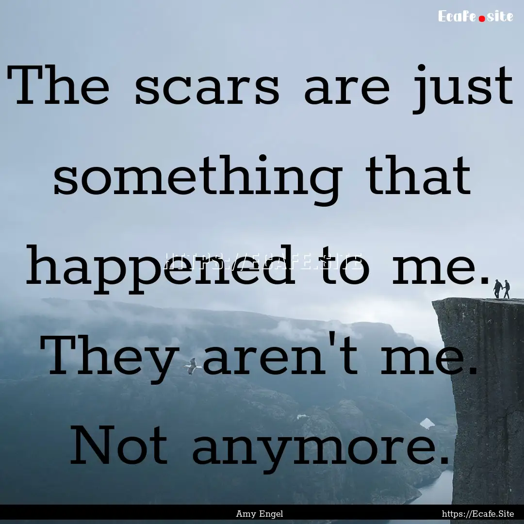 The scars are just something that happened.... : Quote by Amy Engel