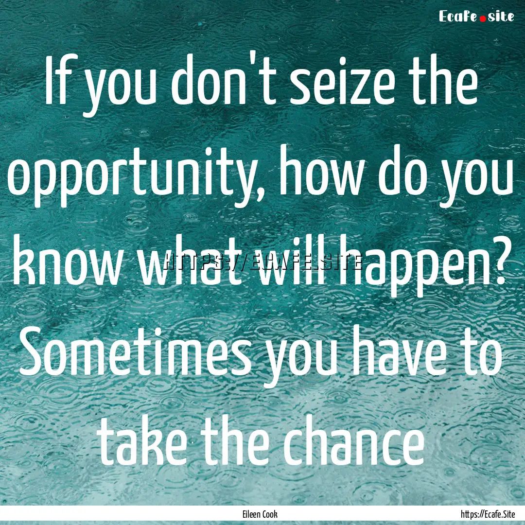 If you don't seize the opportunity, how do.... : Quote by Eileen Cook