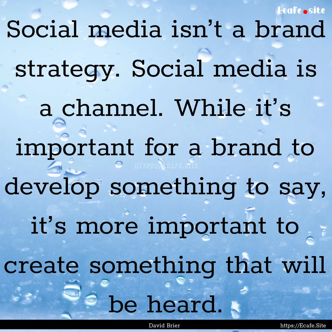 Social media isn’t a brand strategy. Social.... : Quote by David Brier