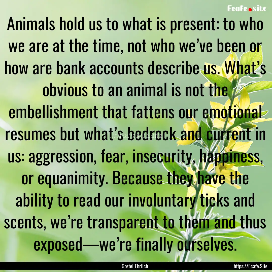 Animals hold us to what is present: to who.... : Quote by Gretel Ehrlich