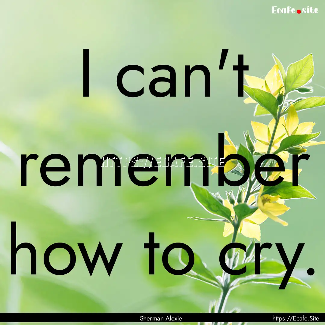 I can't remember how to cry. : Quote by Sherman Alexie