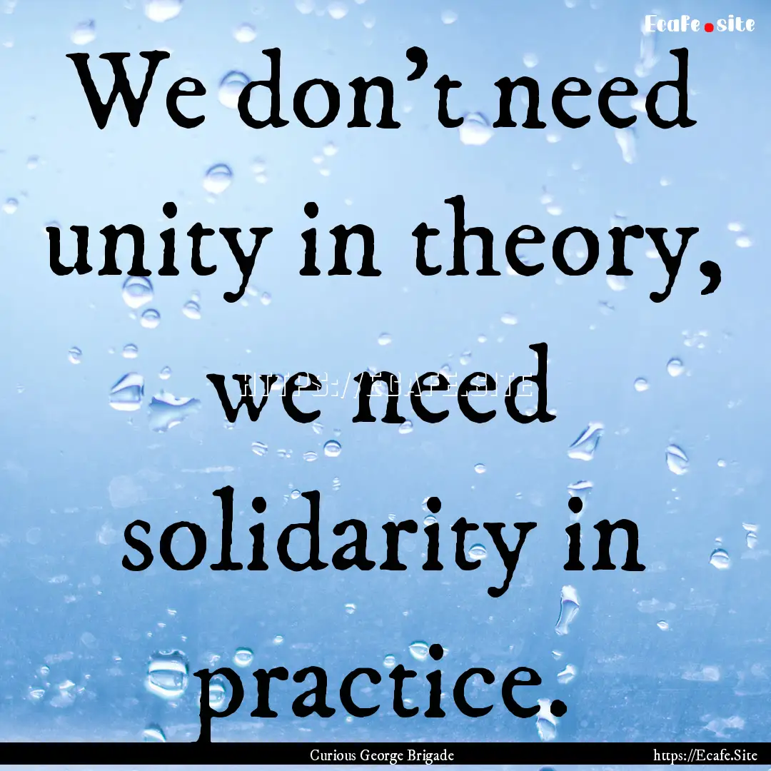 We don't need unity in theory, we need solidarity.... : Quote by Curious George Brigade