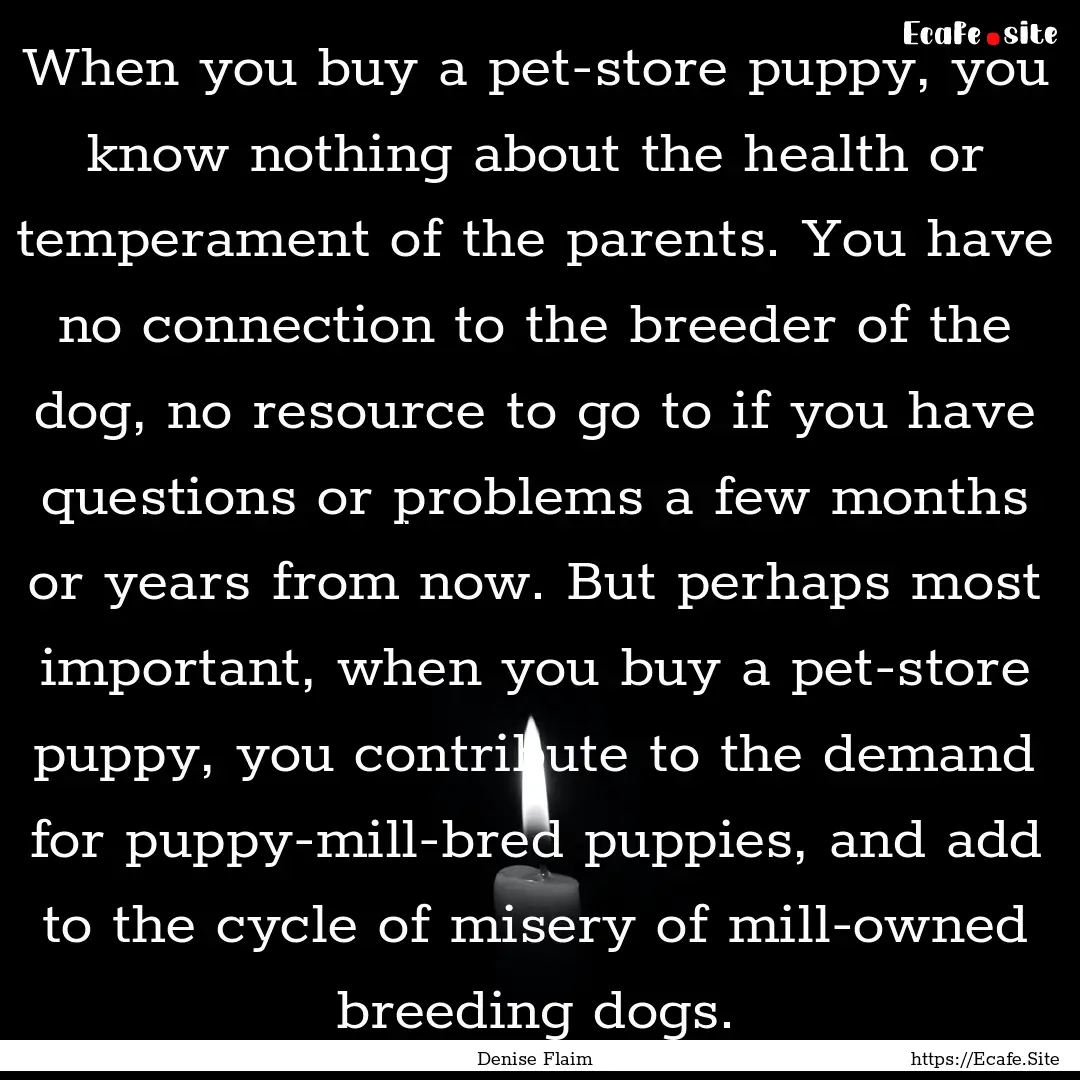 When you buy a pet-store puppy, you know.... : Quote by Denise Flaim