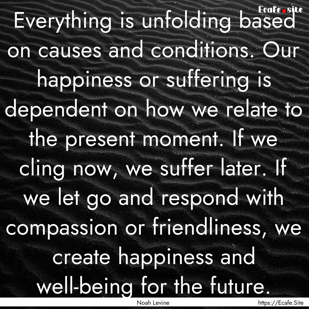 Everything is unfolding based on causes and.... : Quote by Noah Levine