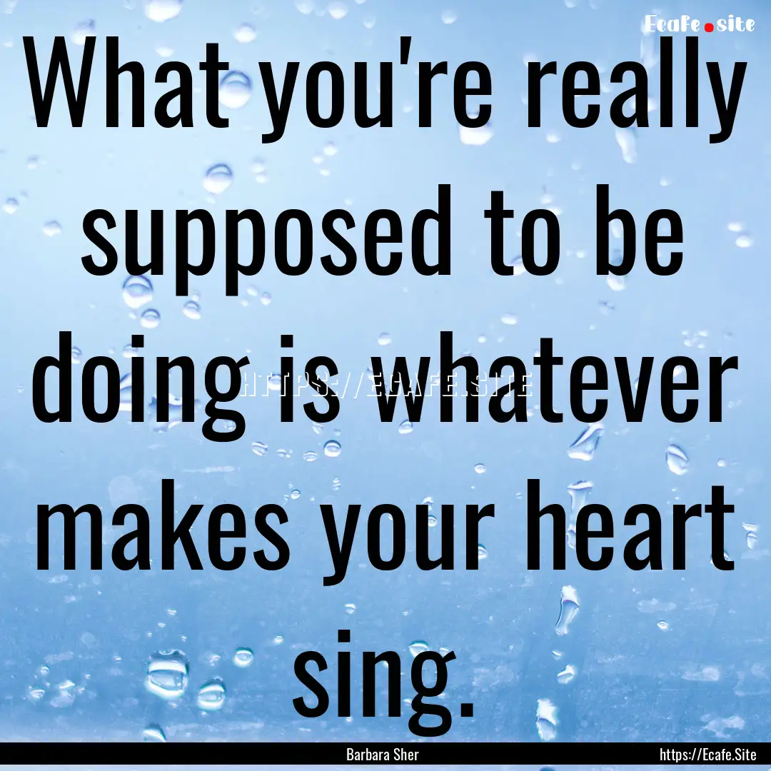 What you're really supposed to be doing is.... : Quote by Barbara Sher