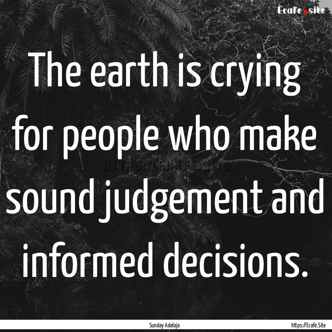 The earth is crying for people who make sound.... : Quote by Sunday Adelaja