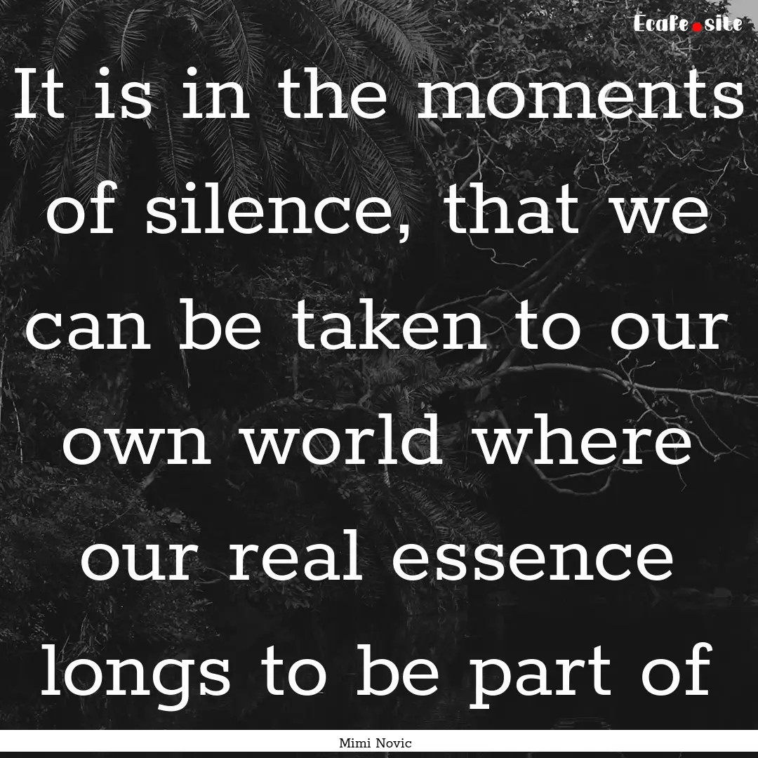 It is in the moments of silence, that we.... : Quote by Mimi Novic