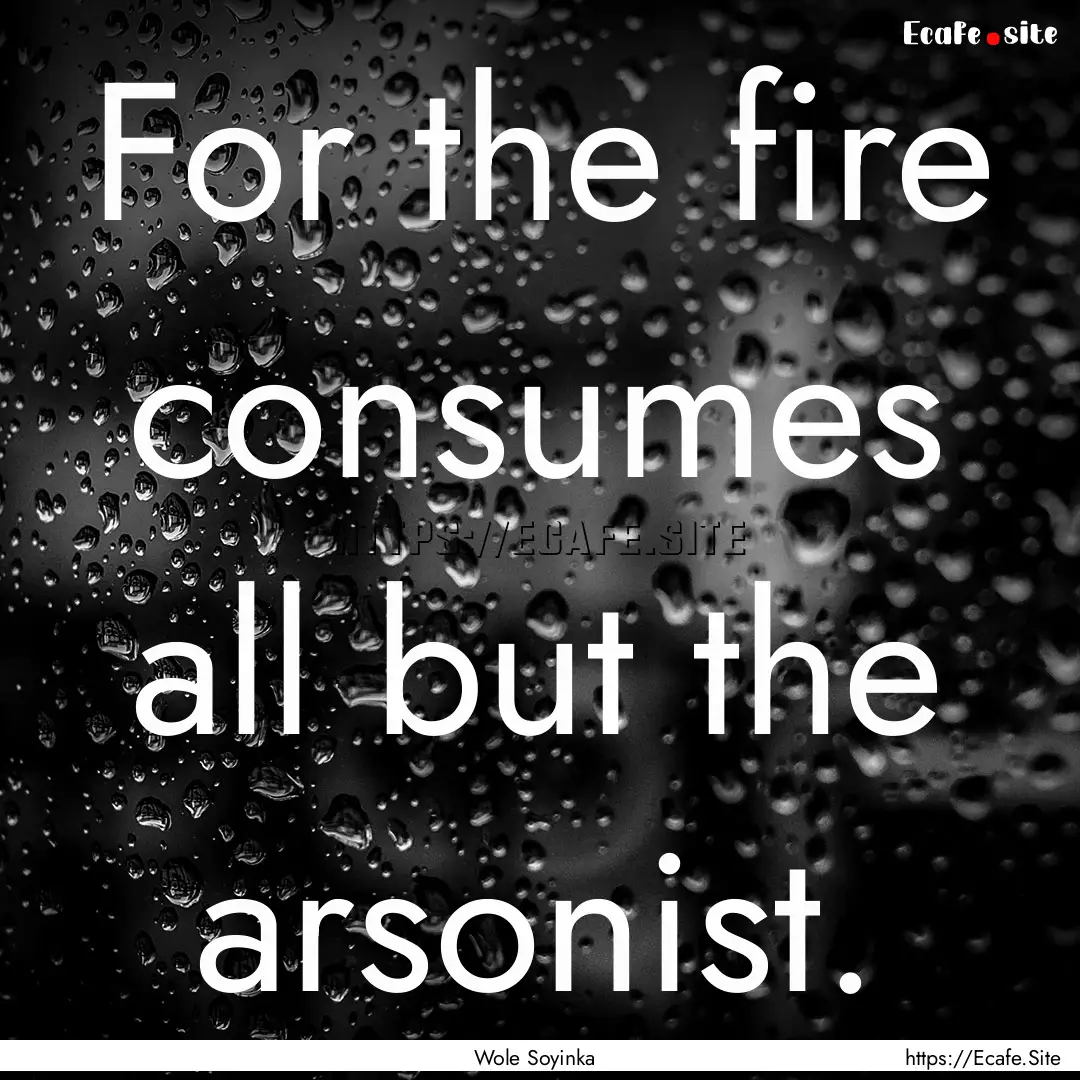 For the fire consumes all but the arsonist..... : Quote by Wole Soyinka