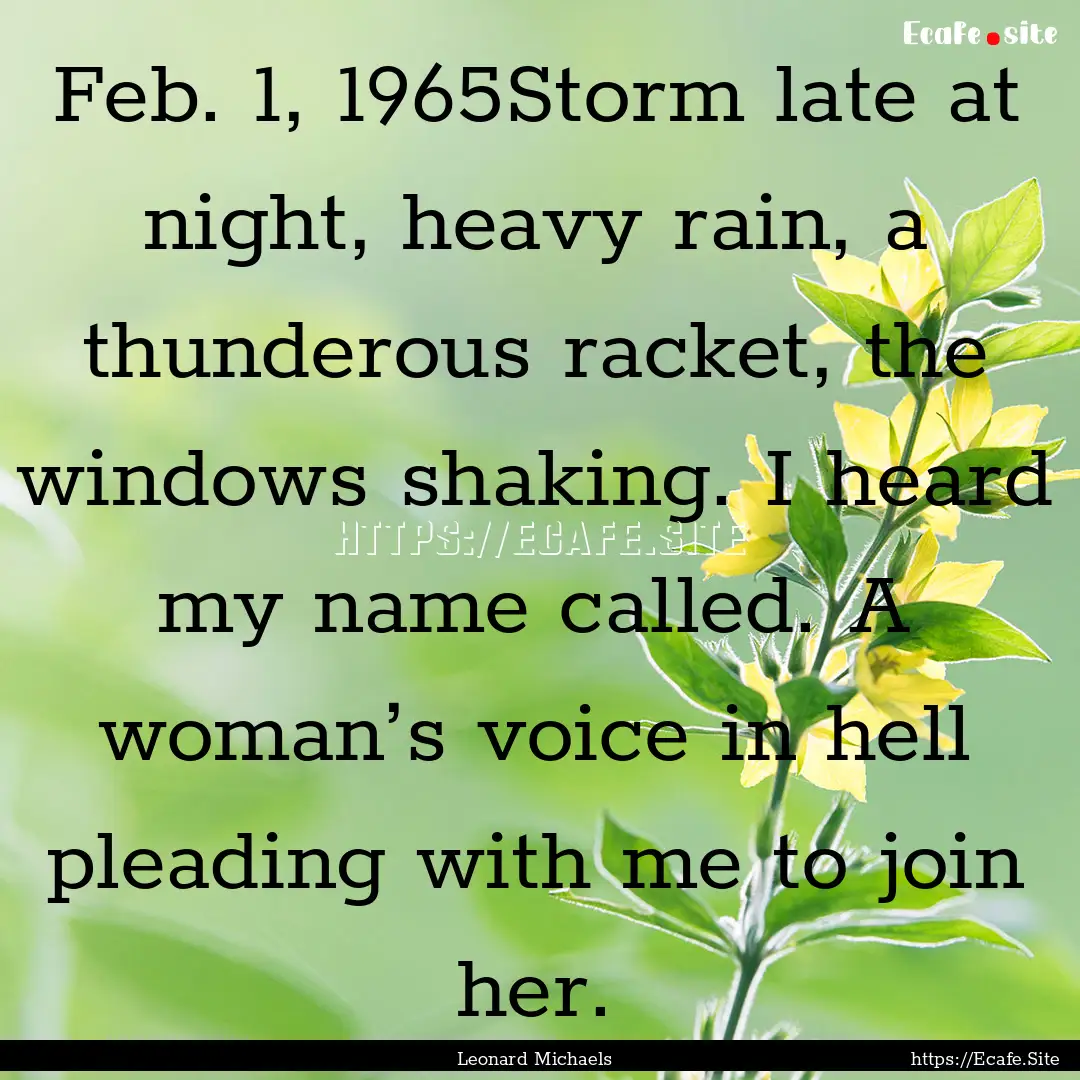 Feb. 1, 1965Storm late at night, heavy rain,.... : Quote by Leonard Michaels