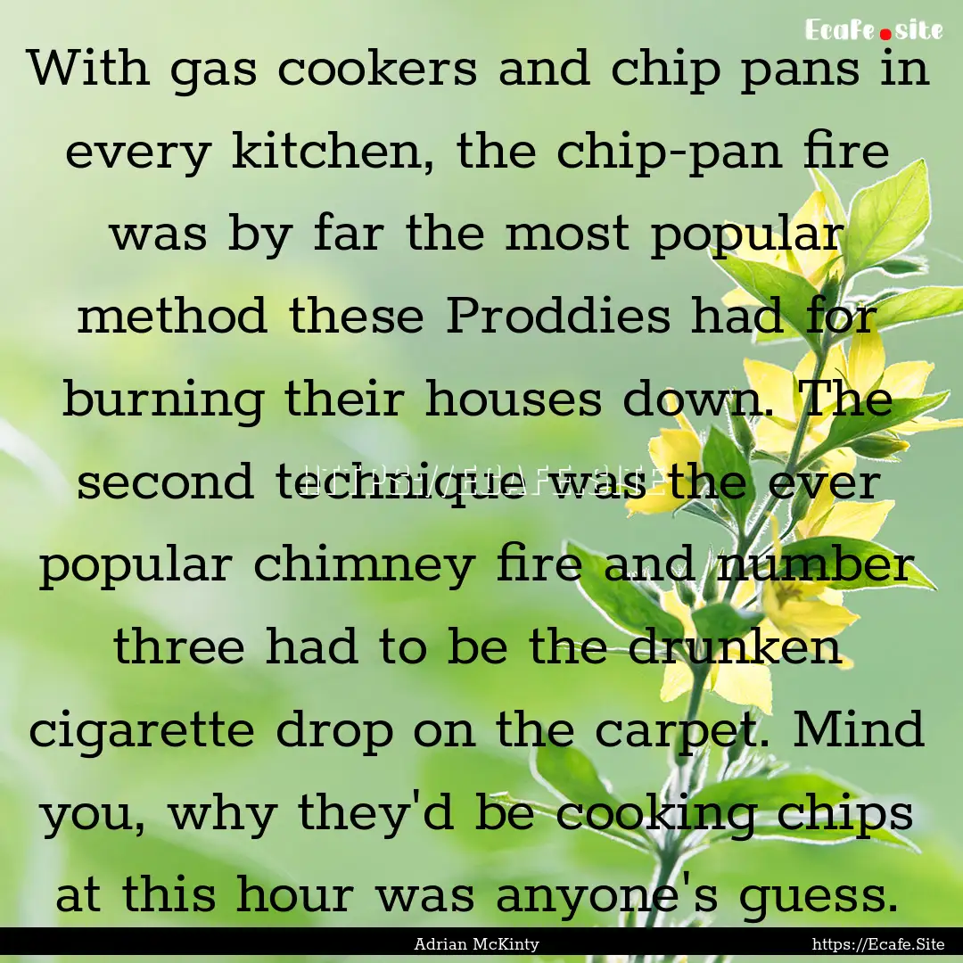 With gas cookers and chip pans in every kitchen,.... : Quote by Adrian McKinty