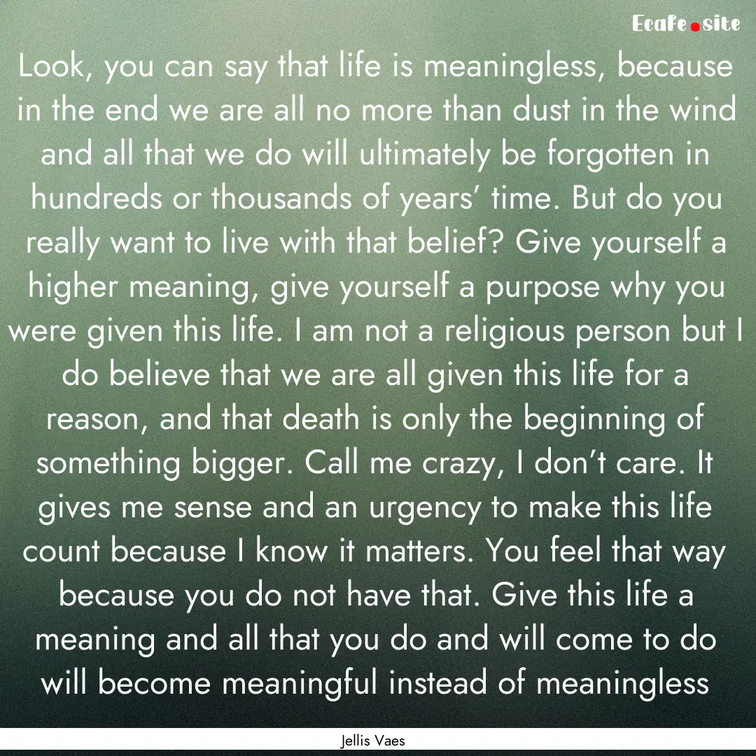 Look, you can say that life is meaningless,.... : Quote by Jellis Vaes