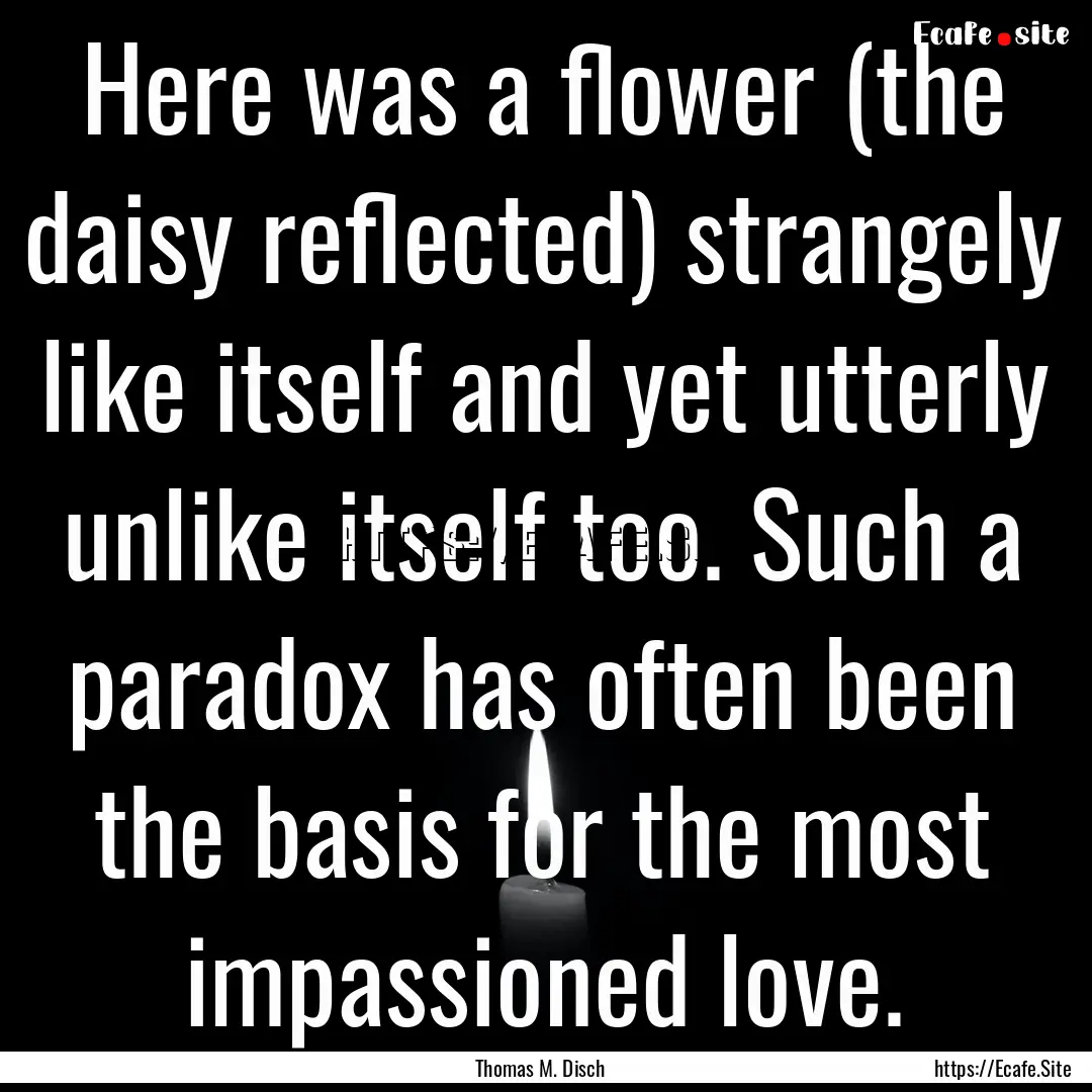 Here was a flower (the daisy reflected) strangely.... : Quote by Thomas M. Disch