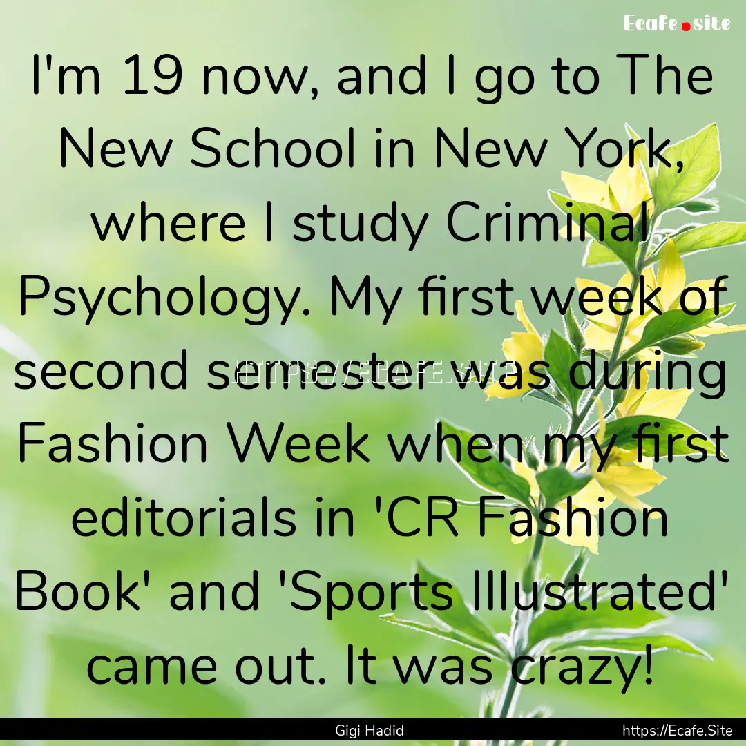 I'm 19 now, and I go to The New School in.... : Quote by Gigi Hadid