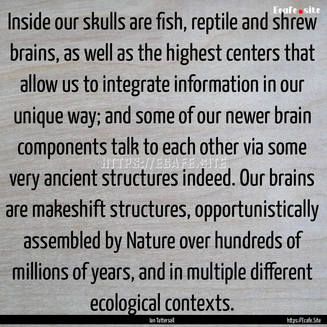 Inside our skulls are fish, reptile and shrew.... : Quote by Ian Tattersall