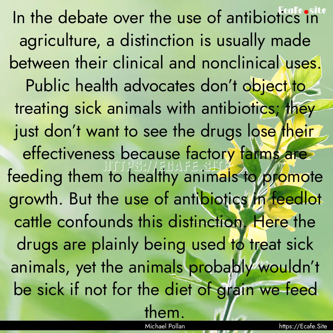 In the debate over the use of antibiotics.... : Quote by Michael Pollan