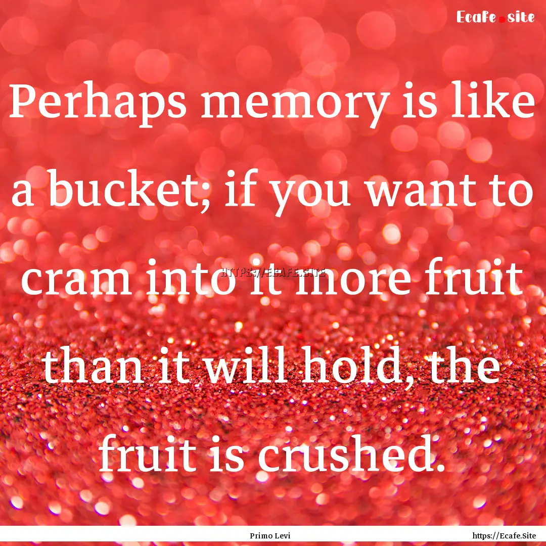 Perhaps memory is like a bucket; if you want.... : Quote by Primo Levi