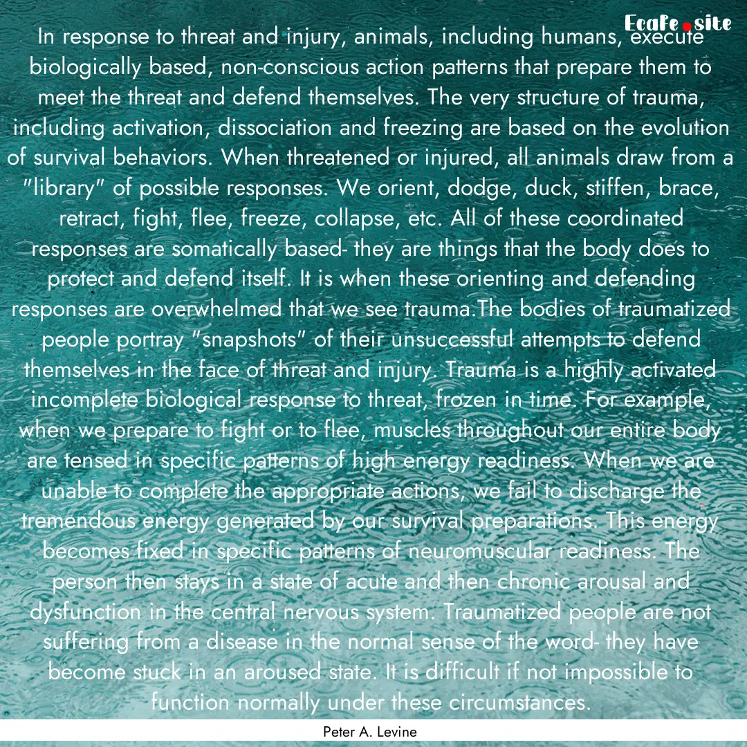 In response to threat and injury, animals,.... : Quote by Peter A. Levine