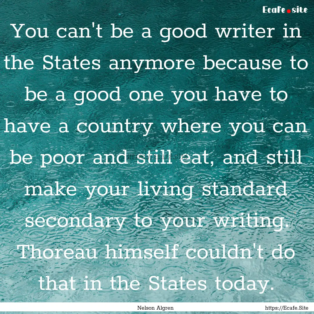 You can't be a good writer in the States.... : Quote by Nelson Algren