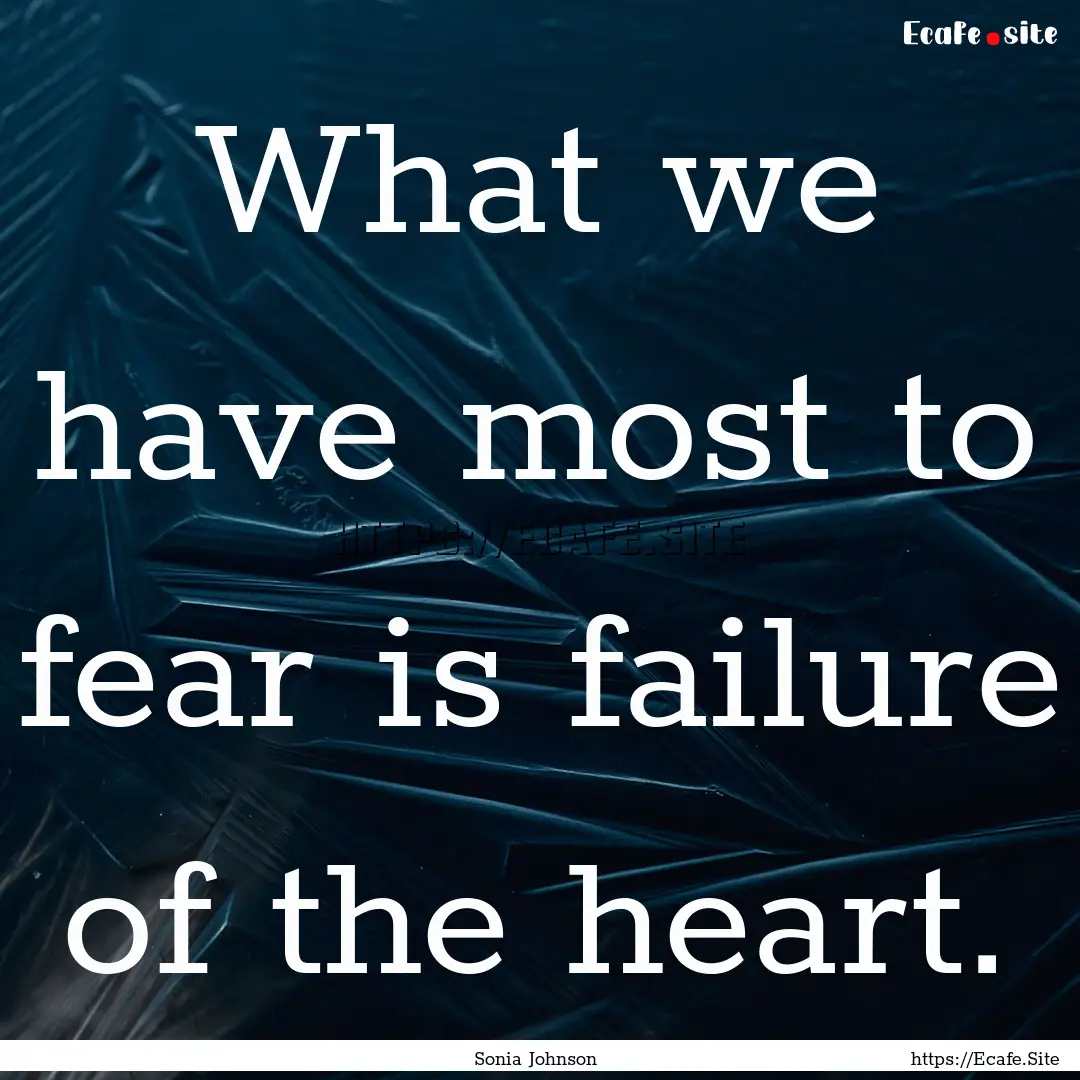 What we have most to fear is failure of the.... : Quote by Sonia Johnson