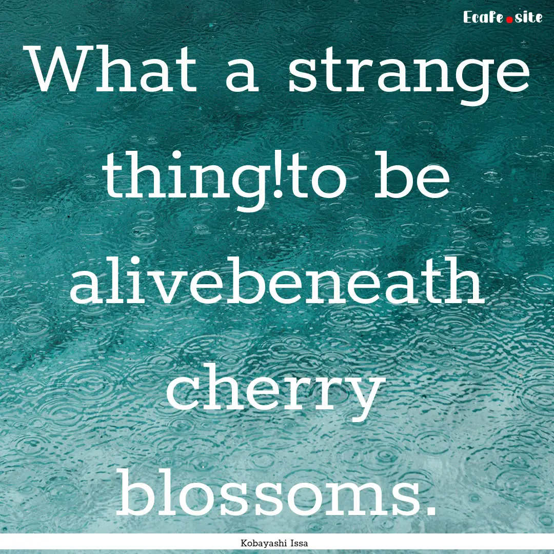 What a strange thing!to be alivebeneath cherry.... : Quote by Kobayashi Issa