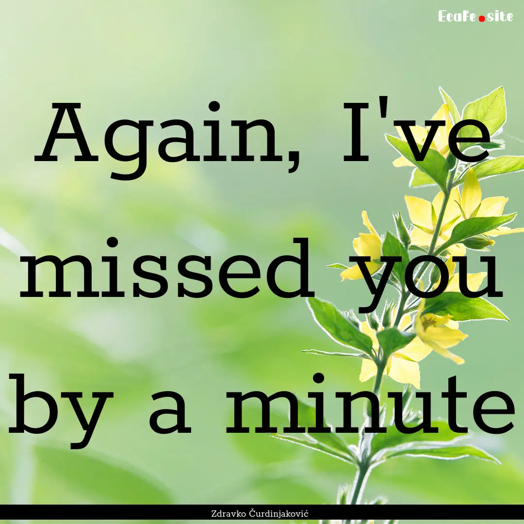 Again, I've missed you by a minute : Quote by Zdravko Čurdinjaković