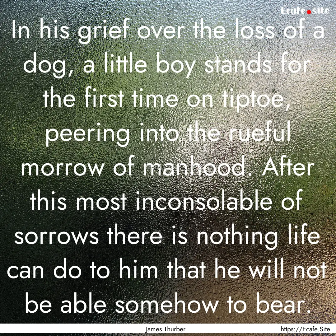 In his grief over the loss of a dog, a little.... : Quote by James Thurber