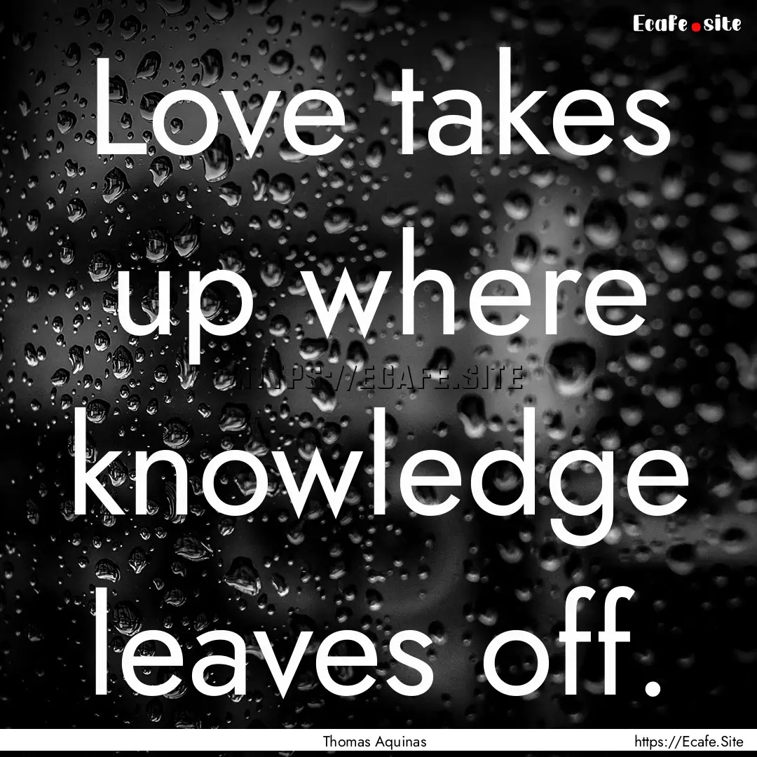 Love takes up where knowledge leaves off..... : Quote by Thomas Aquinas