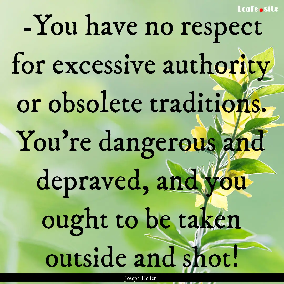 -You have no respect for excessive authority.... : Quote by Joseph Heller