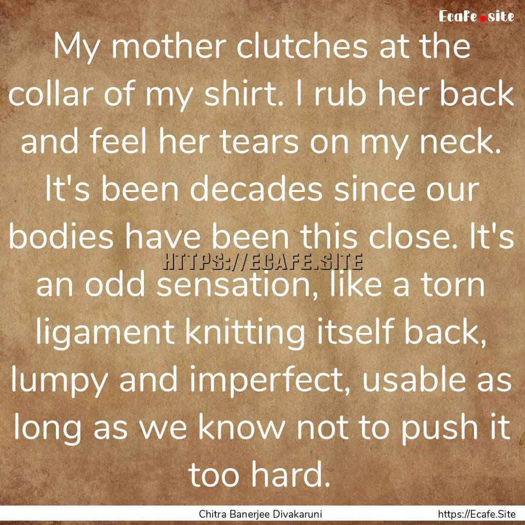 My mother clutches at the collar of my shirt..... : Quote by Chitra Banerjee Divakaruni