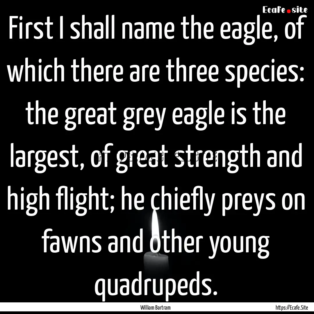 First I shall name the eagle, of which there.... : Quote by William Bartram