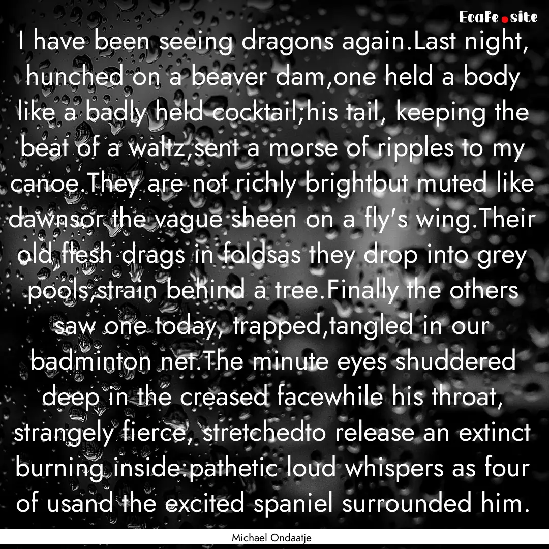 I have been seeing dragons again.Last night,.... : Quote by Michael Ondaatje