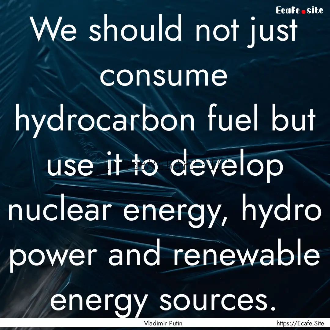 We should not just consume hydrocarbon fuel.... : Quote by Vladimir Putin