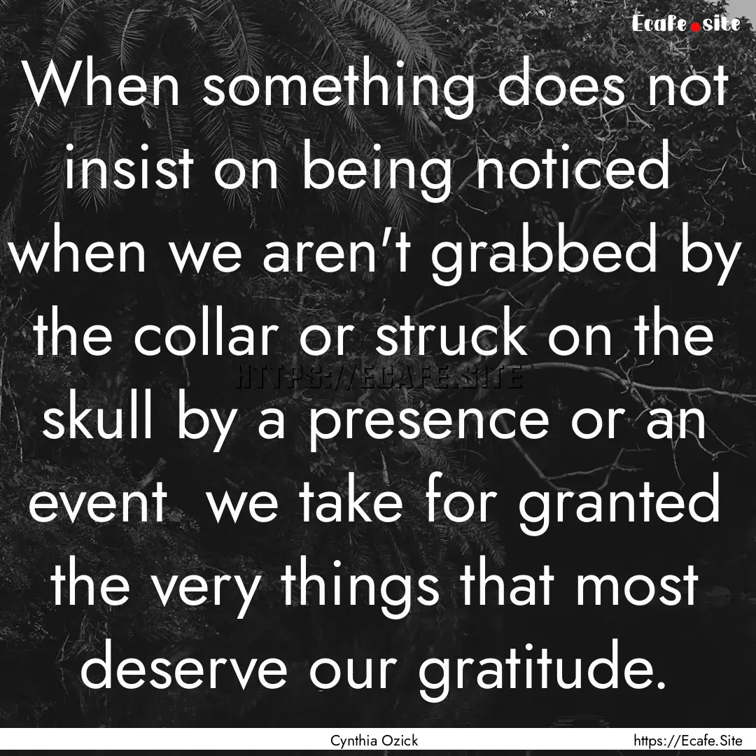 When something does not insist on being noticed.... : Quote by Cynthia Ozick