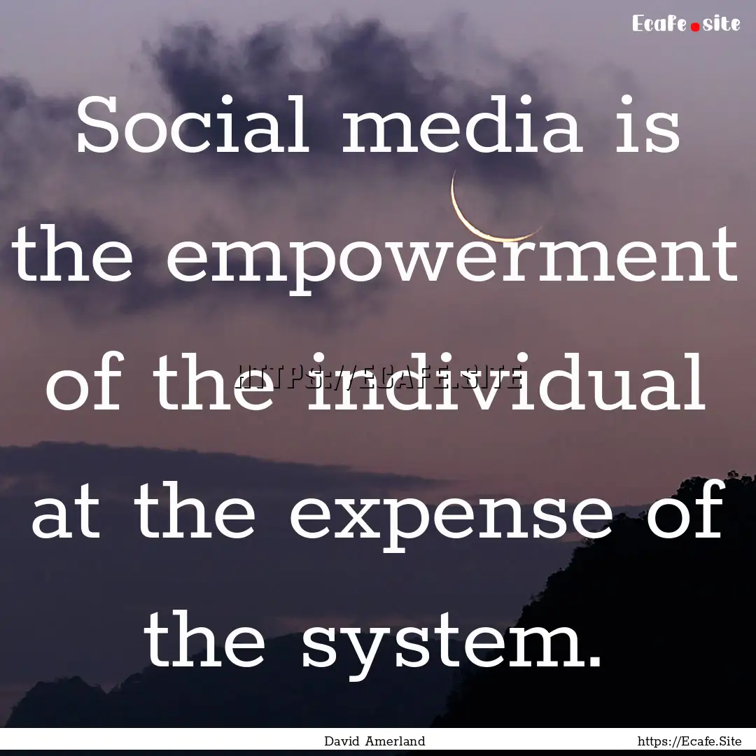 Social media is the empowerment of the individual.... : Quote by David Amerland