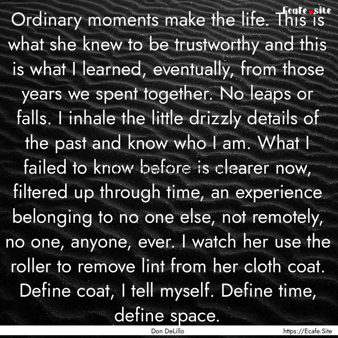 Ordinary moments make the life. This is what.... : Quote by Don DeLillo