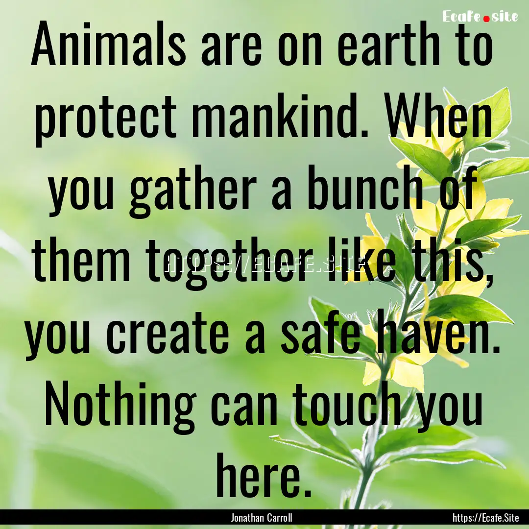 Animals are on earth to protect mankind..... : Quote by Jonathan Carroll