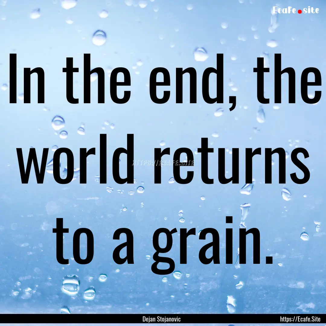 In the end, the world returns to a grain..... : Quote by Dejan Stojanovic