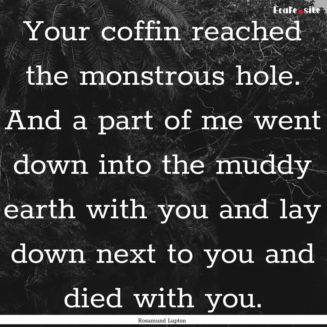 Your coffin reached the monstrous hole. And.... : Quote by Rosamund Lupton