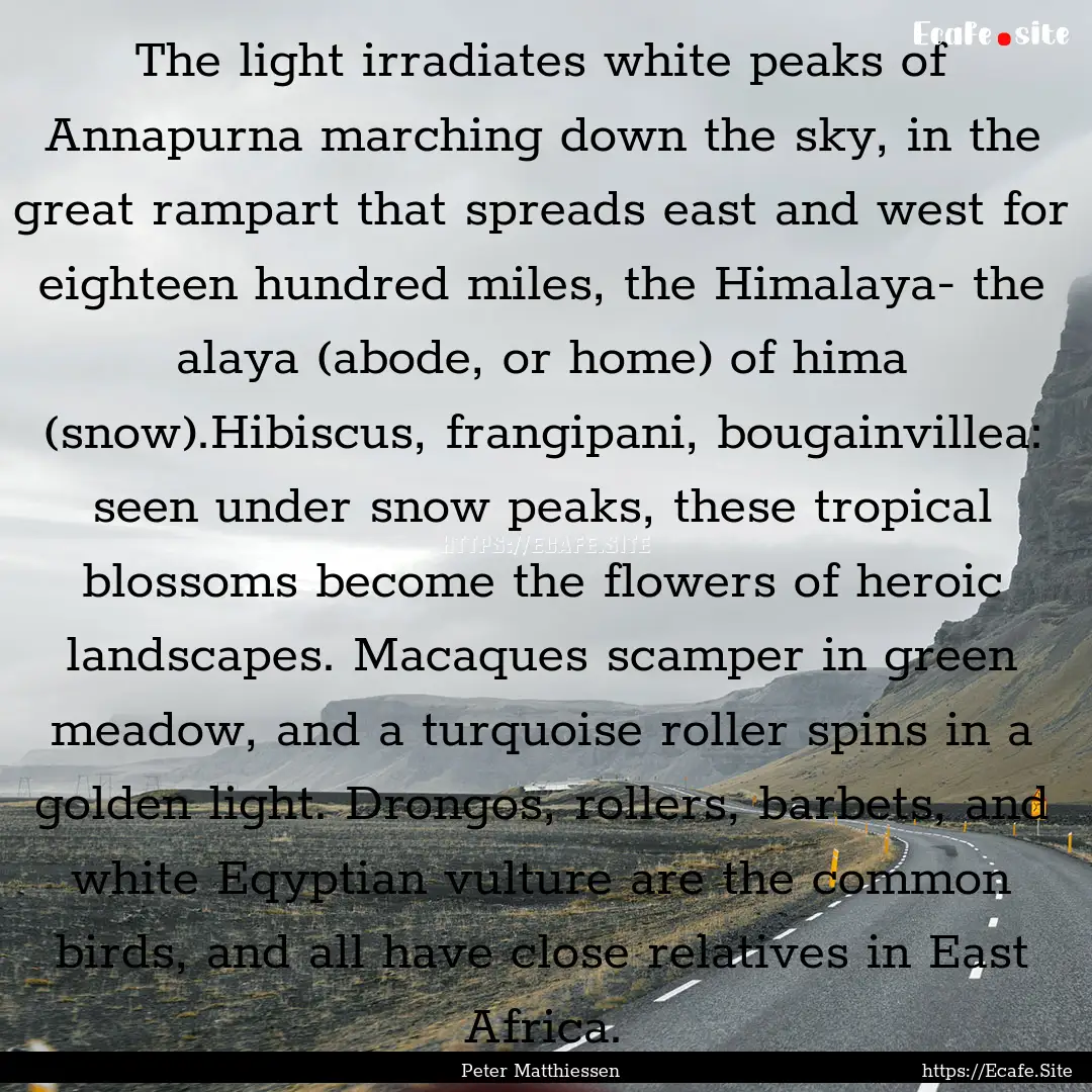 The light irradiates white peaks of Annapurna.... : Quote by Peter Matthiessen