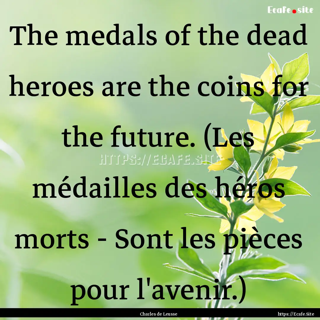 The medals of the dead heroes are the coins.... : Quote by Charles de Leusse