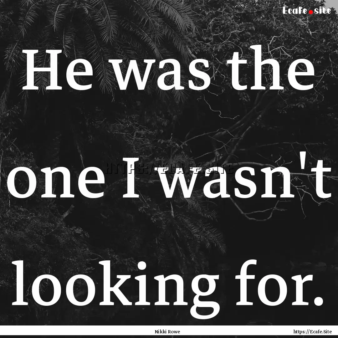 He was the one I wasn't looking for. : Quote by Nikki Rowe