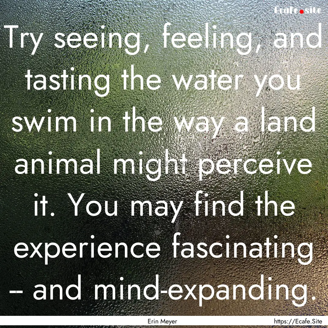 Try seeing, feeling, and tasting the water.... : Quote by Erin Meyer